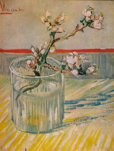 Caule florido DAmandier, 1888 de Vincent van Gogh