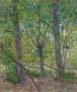 de Vincent van Gogh