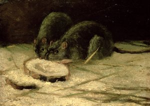 Dois ratos, c.1884 de Vincent van Gogh