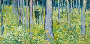Vegetação rasteira com duas figuras de Vincent van Gogh
