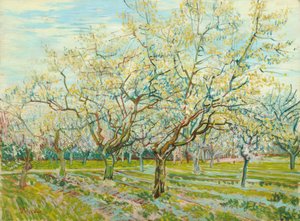 V. van Gogh, O Pomar Branco de Vincent van Gogh