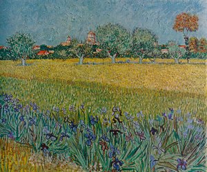 Vista de cervejas com íris em Bloom, 1888 de Vincent van Gogh