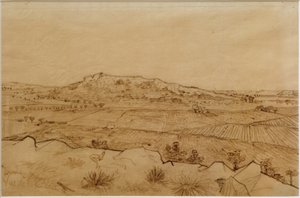 Vista de Crau de Vincent van Gogh
