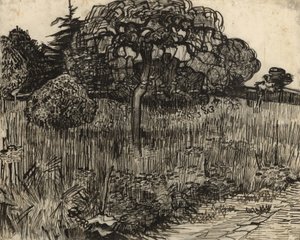 Árvore chorando, 1889 de Vincent van Gogh