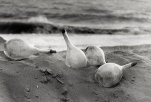 "Frascos na praia" de Vincenzo Balocchi