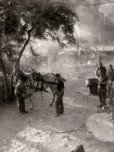 Ferrar os cavalos, Itália de Vincenzo Balocchi