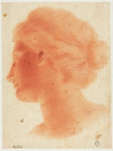 Cabeça da Vénus de Médicis de Vincenzo Dandini