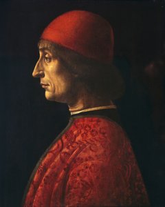 Retrato de Giovanni Francesco Brivio (desconhecido -1517)