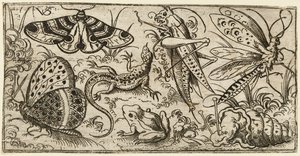 Grupo de insetos e animais em terreno plano com grama..., 1530 - 1562. de Virgil Solis