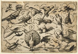 Dez pássaros em pequenas gavinhas de folhagem com uma cegonha amarrando uma gavinha em torno da perna de um pelicano..., 1540.