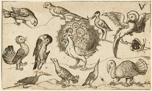Pavão no centro rodeado por outras nove aves, incluindo um peru, e uma borboleta num terreno mínimo com um pequeno pedaço de relva, de Douce Ornament Prints Album I de Virgilius the elder (after) Solis