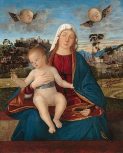 Madonna and Child, c.1505-10 (óleo em painel de álamo) de Vittore Carpaccio