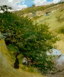 Madeira na paisagem por Vittorio Matteo Corcos (1859-1933), óleo sobre tela, 53x43 cm de Vittorio Matteo Corcos