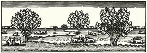 Ilustração para Tess Of The DUrbervilles de Thomas Hardy (gravura)