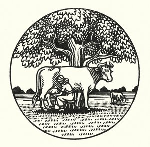 Ilustração para Tess Of The DUrbervilles de Thomas Hardy (gravura)