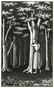 Ilustração para Tess Of The DUrbervilles de Thomas Hardy (gravura)