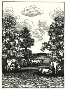 Ilustração para Tess Of The DUrbervilles de Thomas Hardy (gravura)