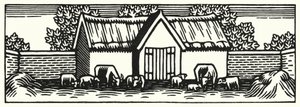 Ilustração para Tess Of The DUrbervilles de Thomas Hardy (gravura) de Vivien Gribble
