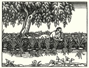 Ilustração para Tess Of The DUrbervilles de Thomas Hardy (gravura)