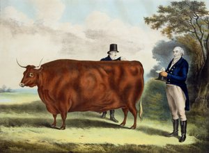 Retrato do Sr. TW Coke Esq. e Clerk Hilliard Esq. com um North Devon Ox (gravura a cores) de W.H. Davis