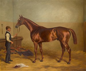 Sir Hugo aos três anos de idade mantido pelo noivo em um estábulo, c.1875-92 (óleo sobre tela) de W.H. Hopkins