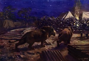 Leões rondando do lado de fora de um acampamento de trabalhadores à noite durante a construção da Ferrovia de Uganda (lito colorido) de W.R.S. (after) Stott