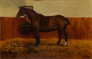 The Old Cob in a Stable, c.1839-98 (petróleo a bordo) de W. F. Adye