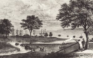 Búfalo (litho) de John Ward Dunsmore