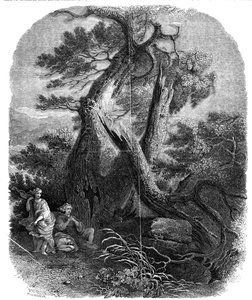 Espécime de gravura em madeira, A Morte dos Filhos de Niobe, ...1844.