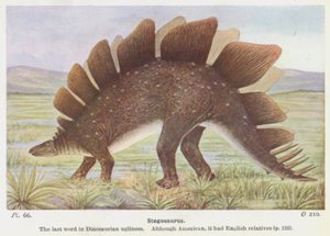 Estegossauro (lito colorido) de W. J. Stokoe