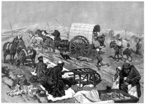 O ônibus feminino, Kashgar, Ásia Central, 1875. de W. Palmer