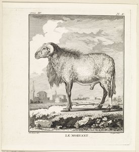 RAM Le Morvant (título no objeto) de W. Tringham