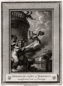 Perdix, sobrinho de Dédalo, transformado em perdiz, 1774