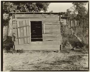 Galinheiro na quinta de Floyd Burroughs, condado de Hale, Alabama