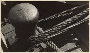 Porto de Nova Iorque de Walker Evans
