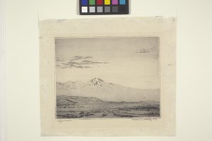 Deserto de Mojave de Wallace Leroy DeWolf
