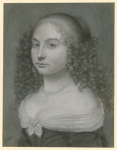  de Wallerant Vaillant