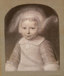  de Wallerant Vaillant