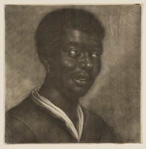  de Wallerant Vaillant