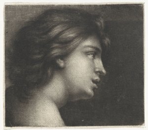  de Wallerant Vaillant