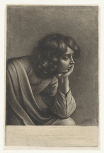  de Wallerant Vaillant