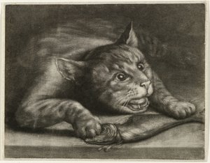 Gato com um peixe de Wallerant Vaillant