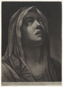  de Wallerant Vaillant