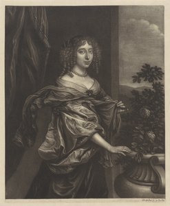 Retrato de uma mulher perto de uma roseira de Wallerant Vaillant