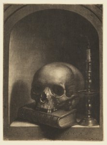  de Wallerant Vaillant