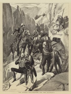 A Guerra do Afeganistão, à espera dos elefantes