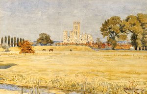 Catedral de Canterbury dos prados, 1894 de Walter Crane
