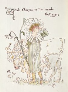 &39;Oxeyes selvagens em Meads que olham&39;, ilustração para &39;Festa de Flora, uma máscara de flores&39; de Walter Crane