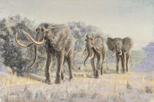 Elefantes africanos (pastel) de Walter D.M. Bell