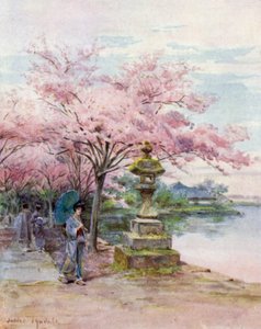 Flor de cerejeira e lanterna de pedra, Parque Ueno de Walter Frederick Roofe Tyndale